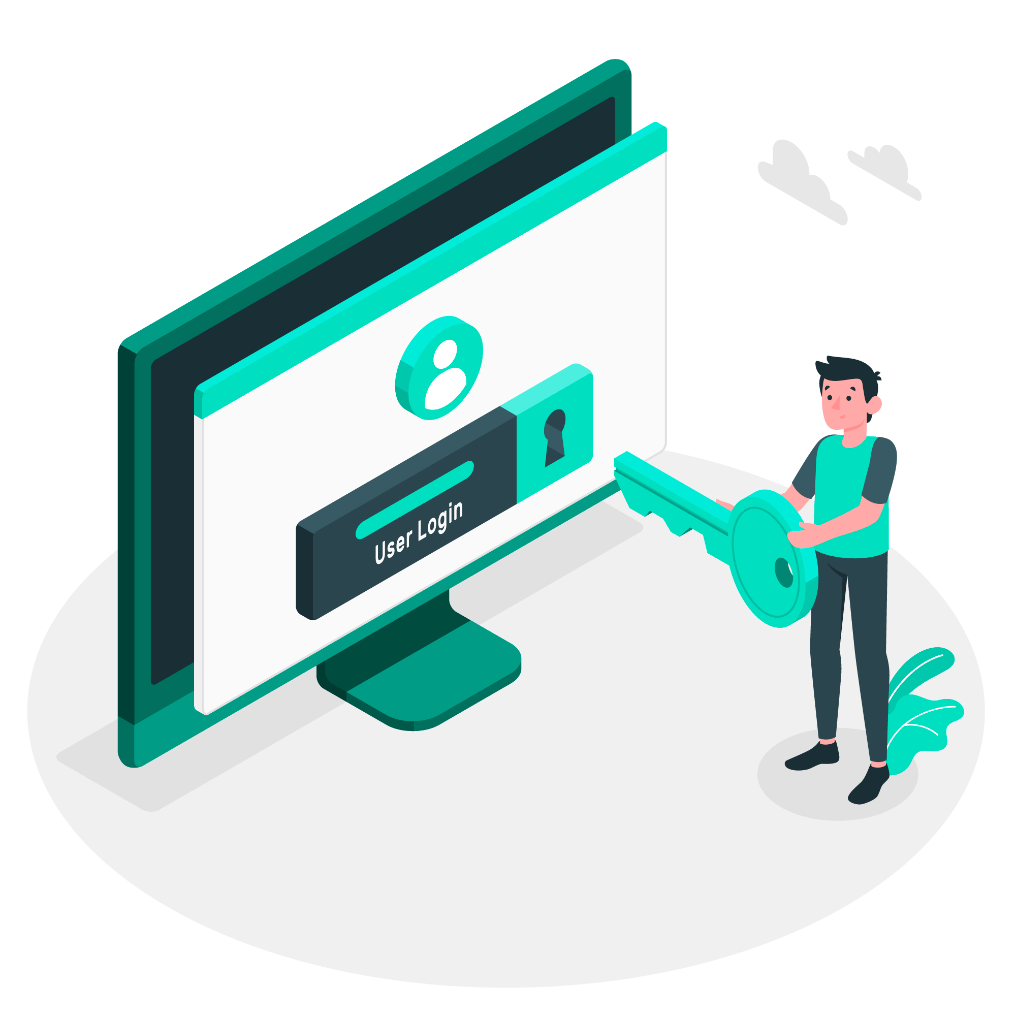 Login visual